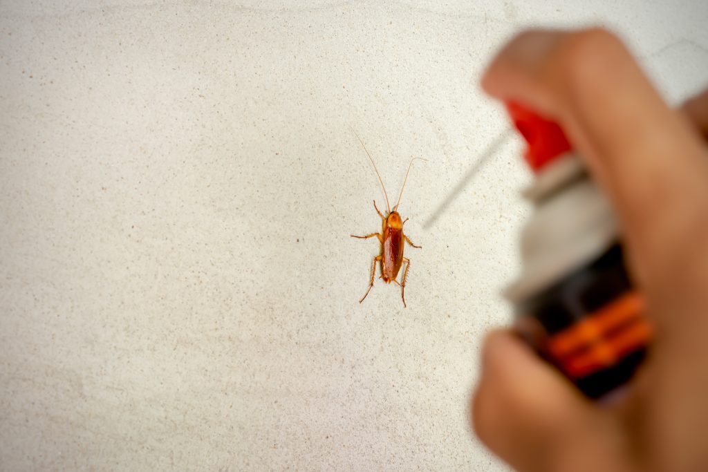 Nejlepší zbraň proti hmyzu. Budou pryč během chvilky